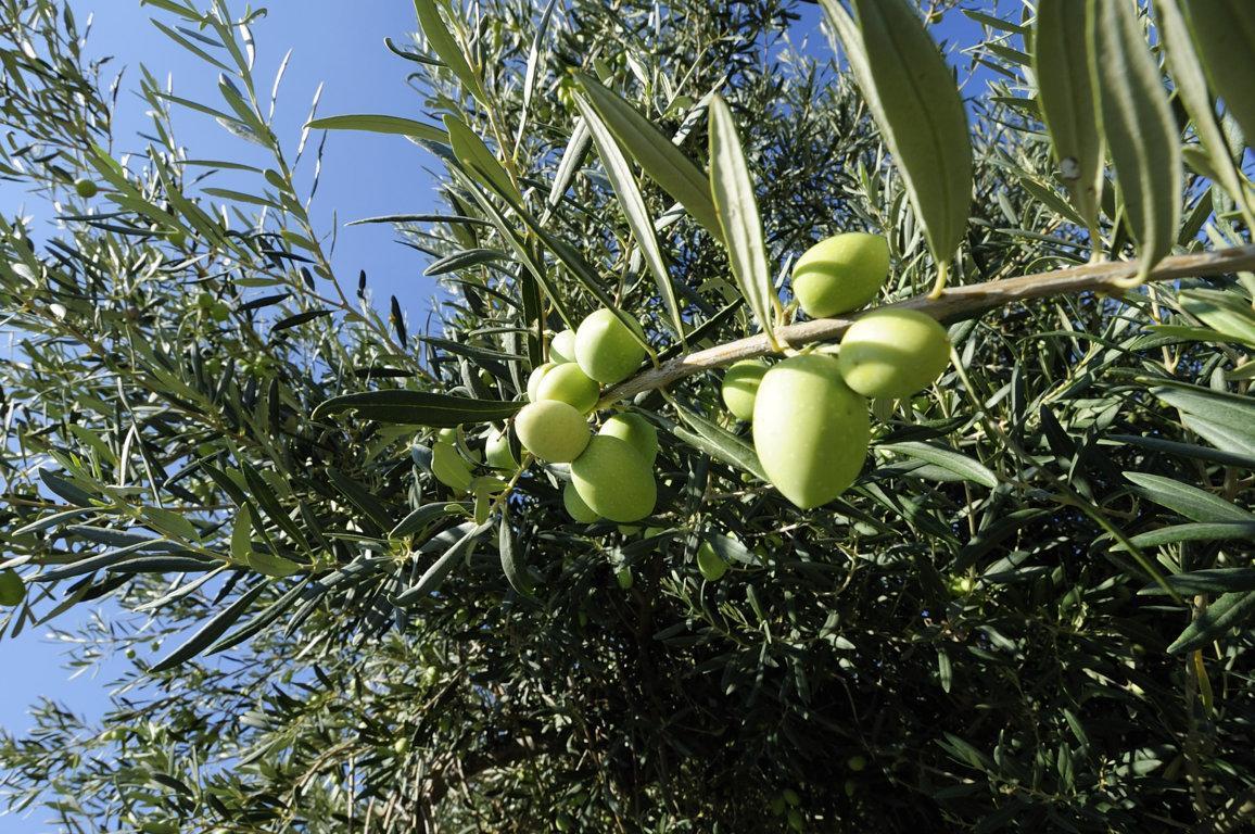 Residence Casa Torretta Gioiosa Marea Εξωτερικό φωτογραφία